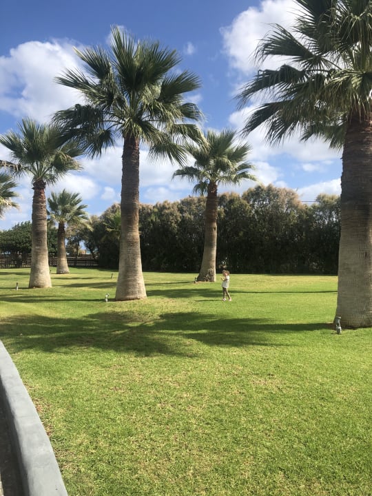 Gartenanlage Amirandes A Grecotel Resort To Live