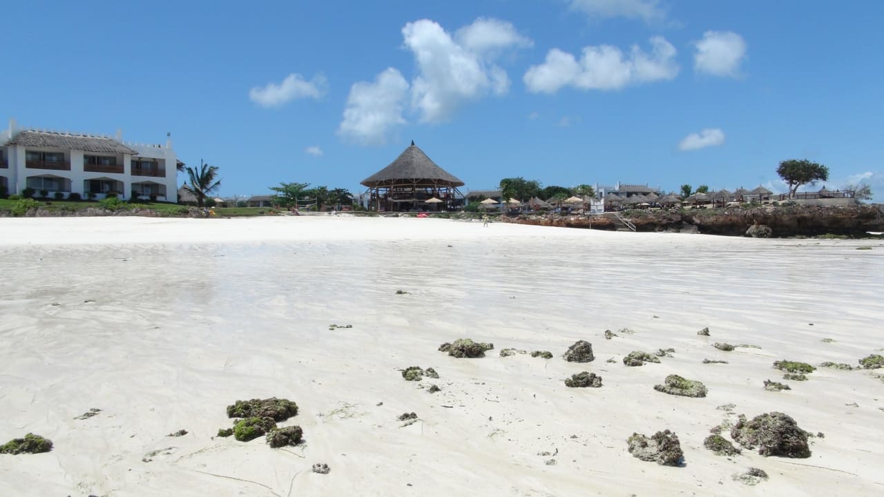 Strand bei Ebbe  Royal Zanzibar Beach Resort