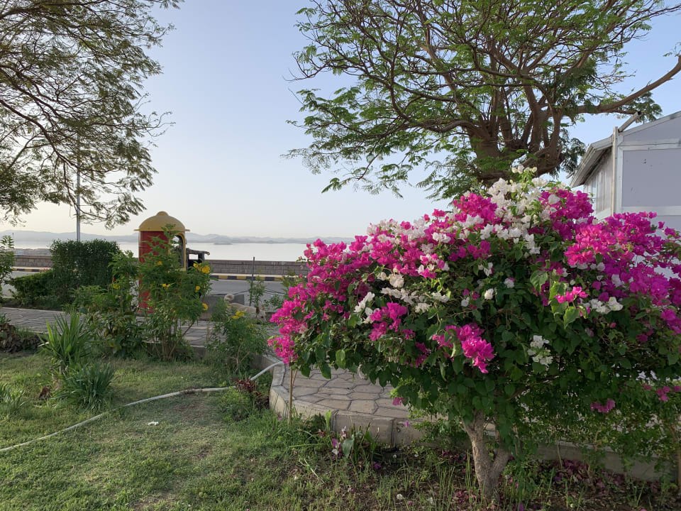Gartenanlage Continental Hotel Hurghada