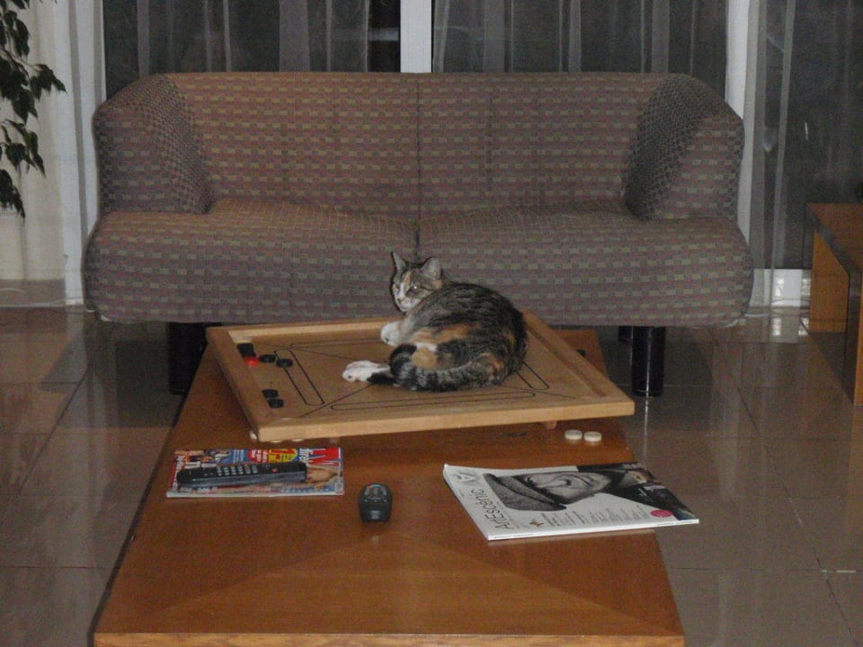 Katze Bikini Island & Mountain Hotel Es Trenc