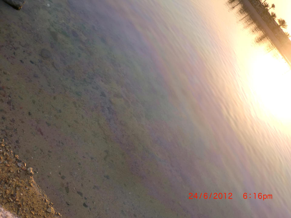 3 Tage lang Diesel im Wasser Desert Rose