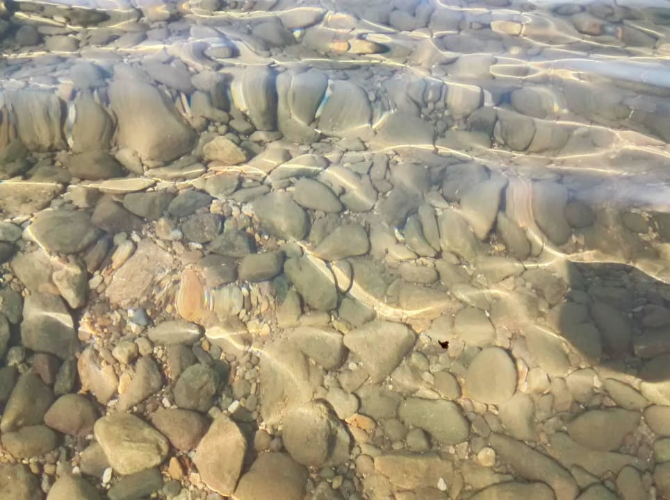 Steine im Wasser, direkt am Ufersaum und dahinter. MyElla Bodrum Resort & Spa