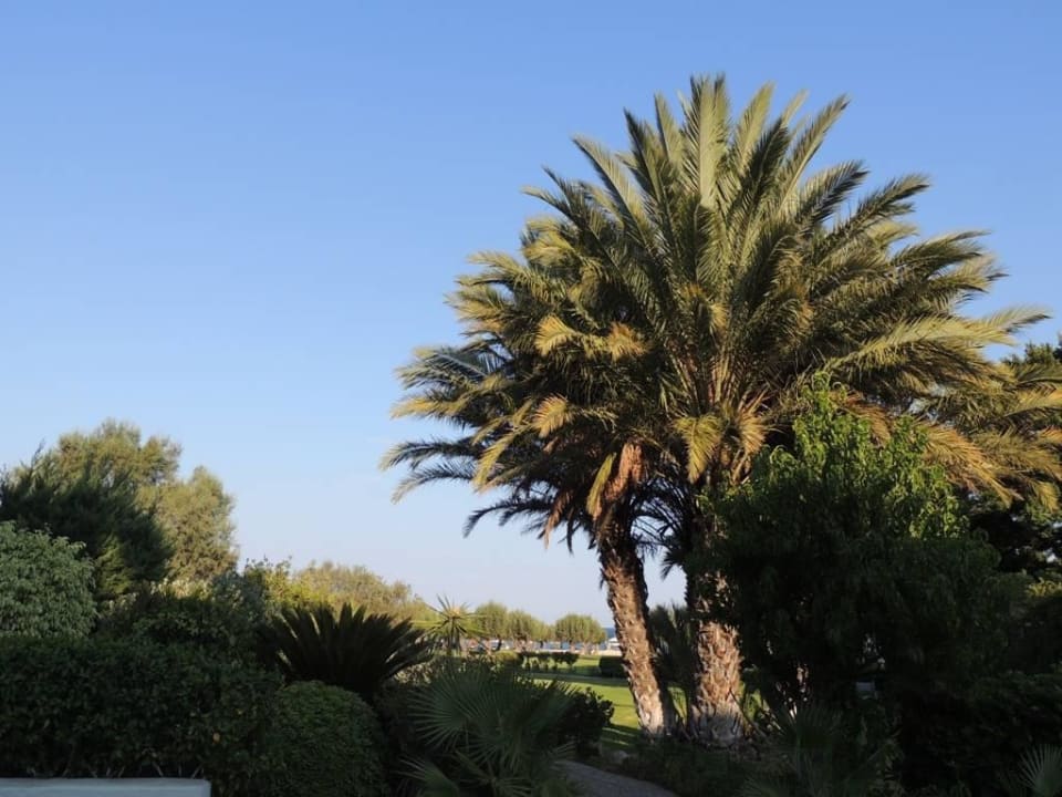 Gartenanlage Grecotel LUXME Dama Dama