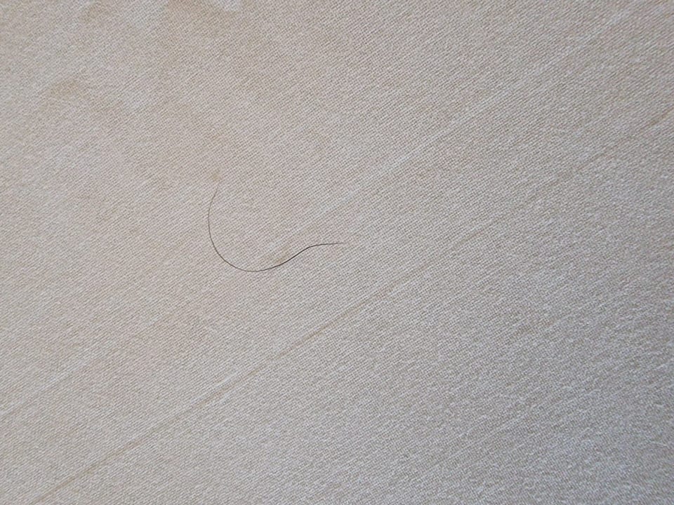 Zimmer Pickalbatros Citadel Resort