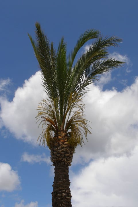 Sehr hoch Lindos Princess Beach Resort & Spa