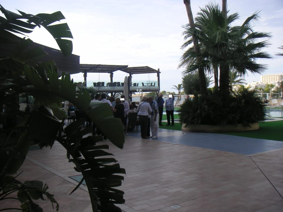 Die ersten Gesellschaftsgäste treffen ein Hotel-Apartamentos Blau Parc