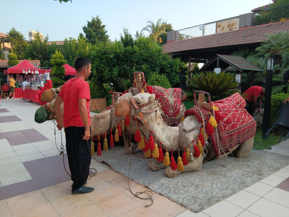 Sonstiges TUI KIDS CLUB Felicia Village