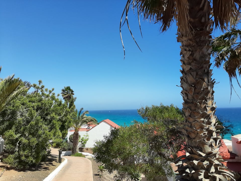 Ausblick Aldiana Club Fuerteventura