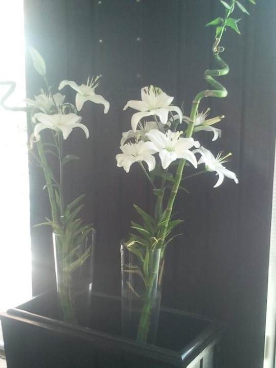 Blumen im Café Beach Albatros Resort
