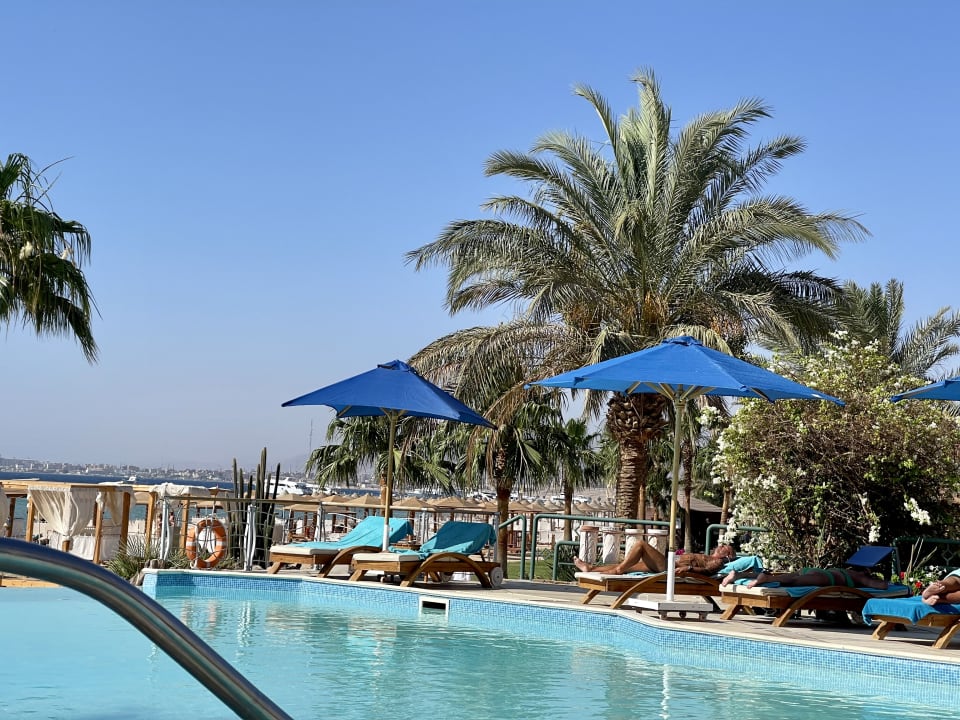 Pool Shams Prestige Abu Soma-Adults Only