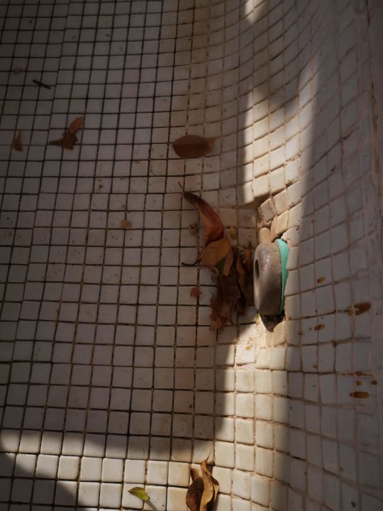 Pool Ghazala Gardens