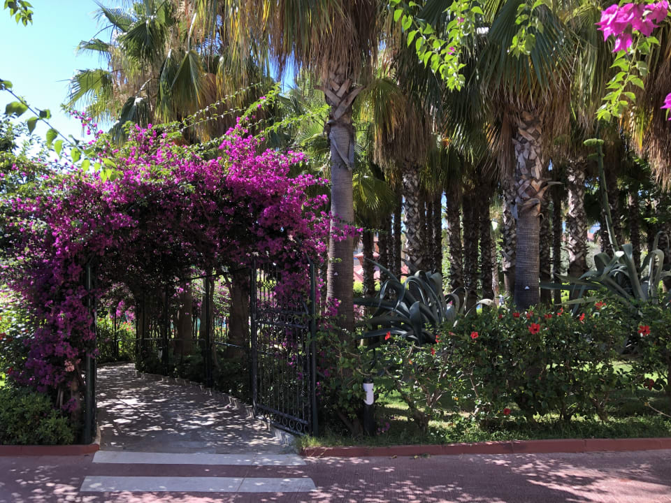 Gartenanlage Miramare Queen Hotel