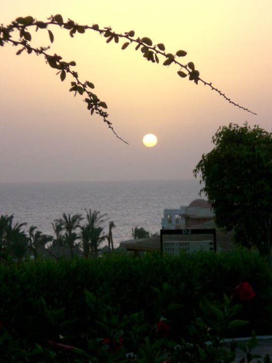 Sonnenaufgang Serenity Alpha Beach