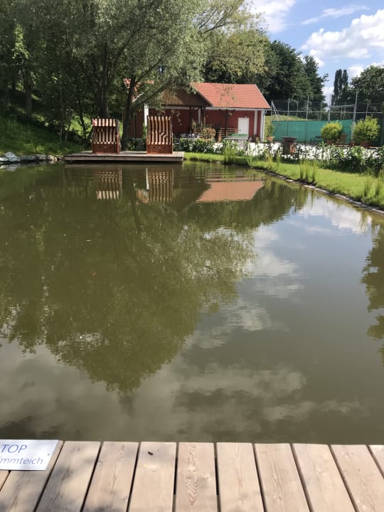 Gartenanlage Hotel & Spa Der Steirerhof Bad Waltersdorf