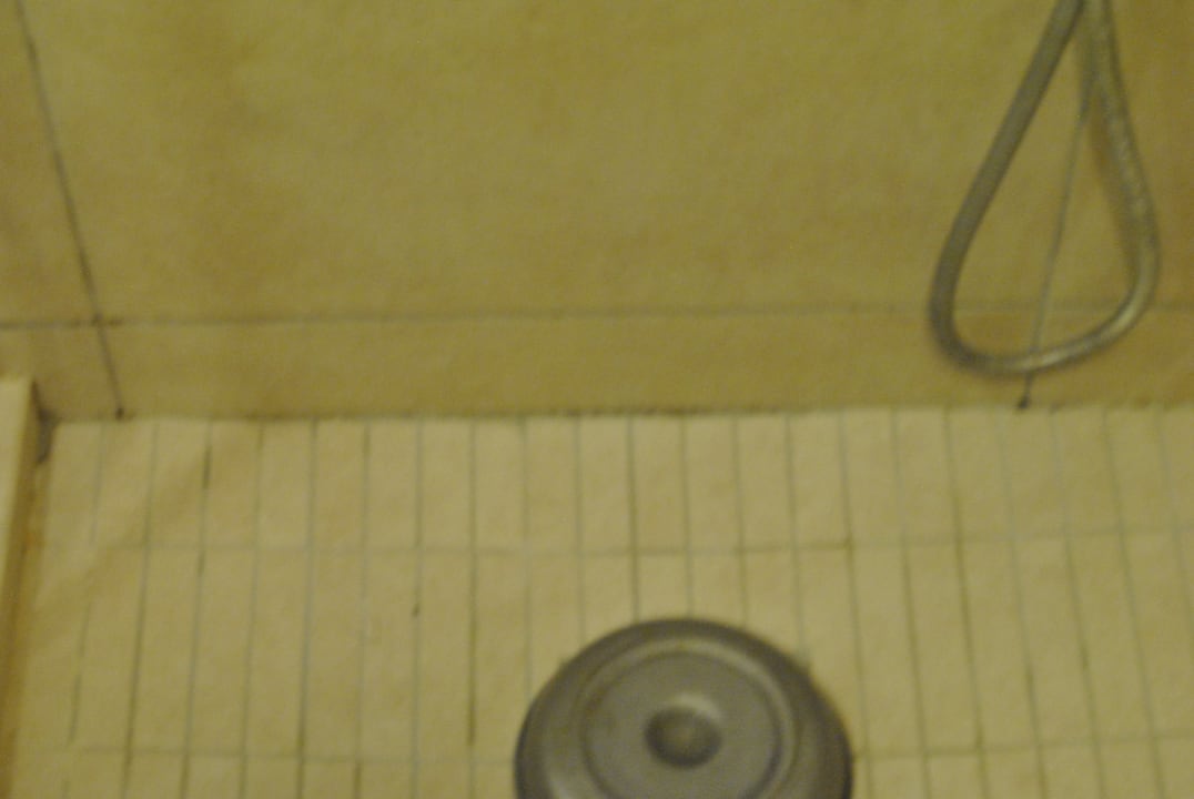 Zimmer Well Palace Side