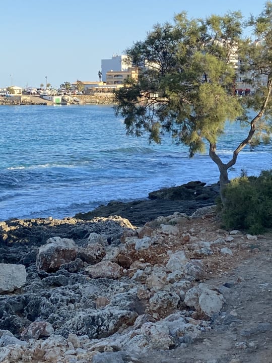 Ausblick Aparthotel Playa Dorada