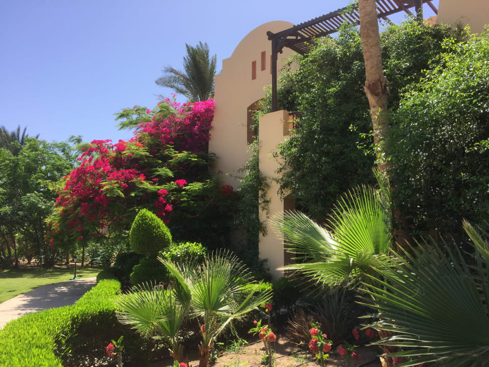 Gartenanlage Steigenberger Coraya Beach - Adults only