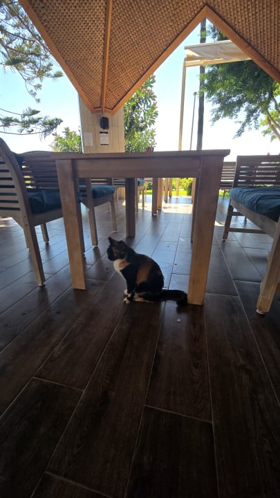 Sonstiges Nerton Hotel - Erwachsenenhotel ab 16 Jahren