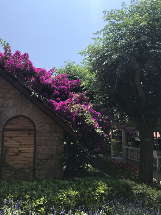 Gartenanlage Can Garden Beach
