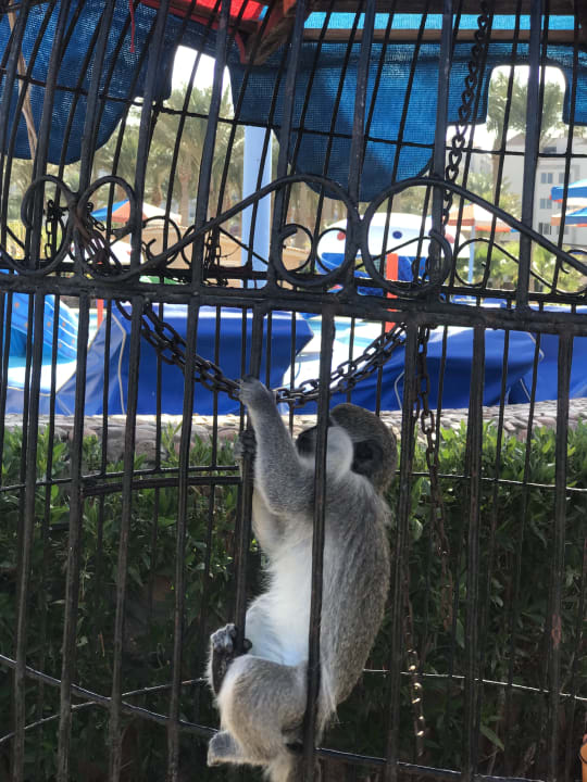 Gartenanlage Riviera Aqua Park Resort