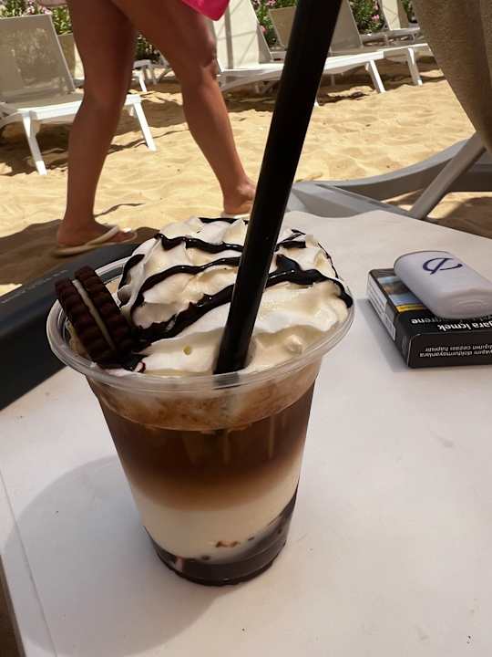 Gastro Seashell Vega