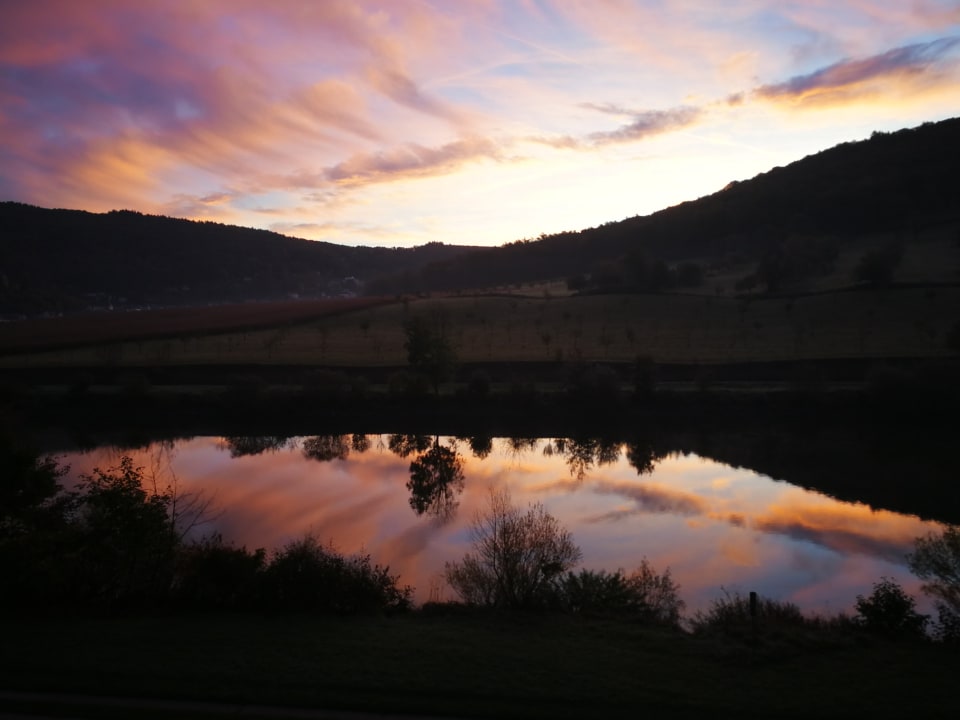 Ausblick Hotel Vierburgeneck Neckarsteinach