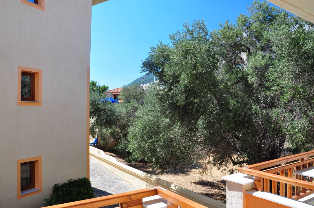 Widok z pokoju Hotel Kampos Village Resort