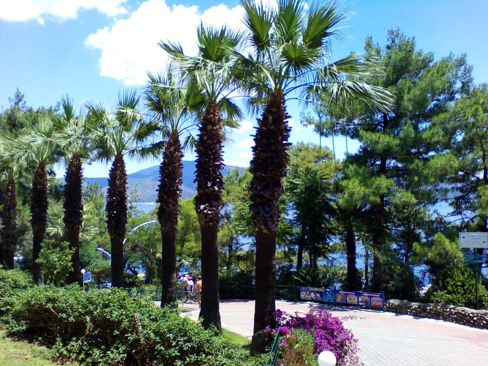 Gartenanlage Labranda Mares Marmaris