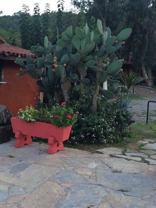 Kaktus Hotel Berke Ranch & Nature