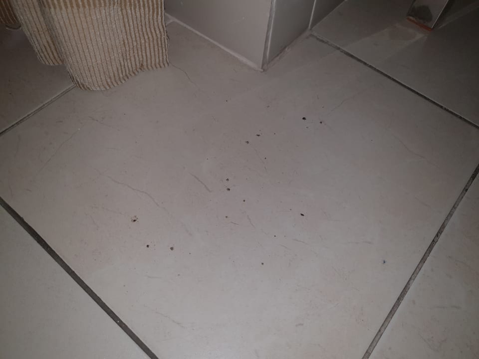 Zimmer Kamelya Aishen Club