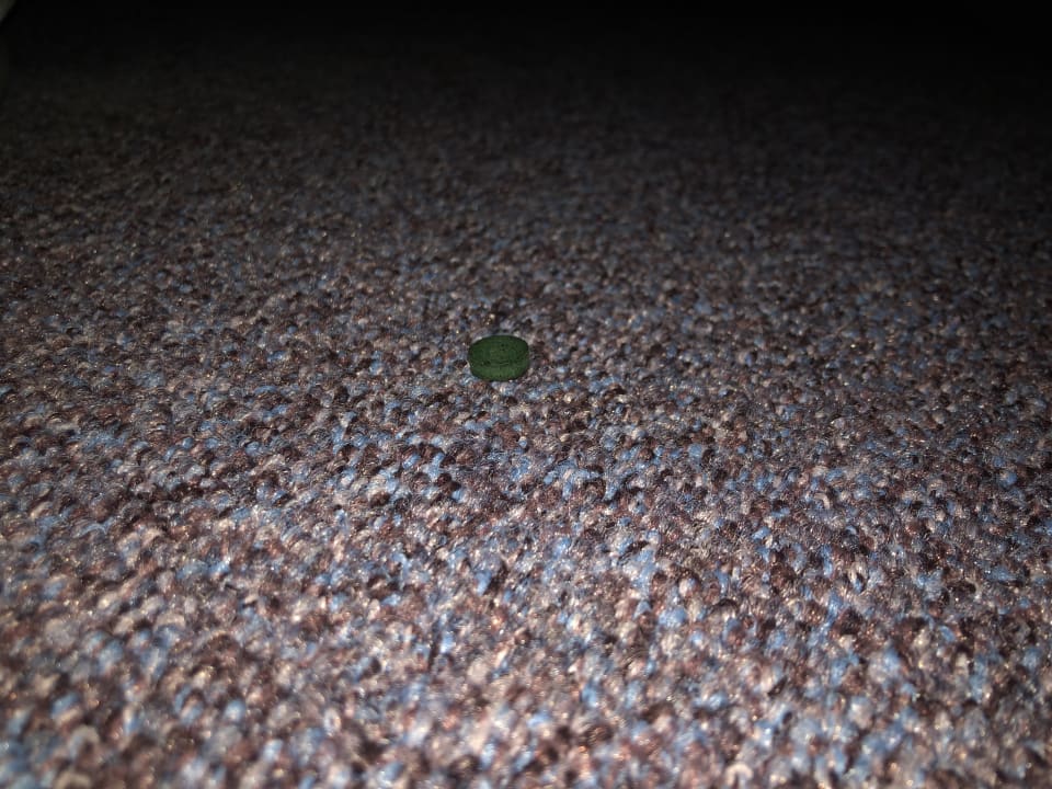 Zimmer Hotel NH Brussels Airport