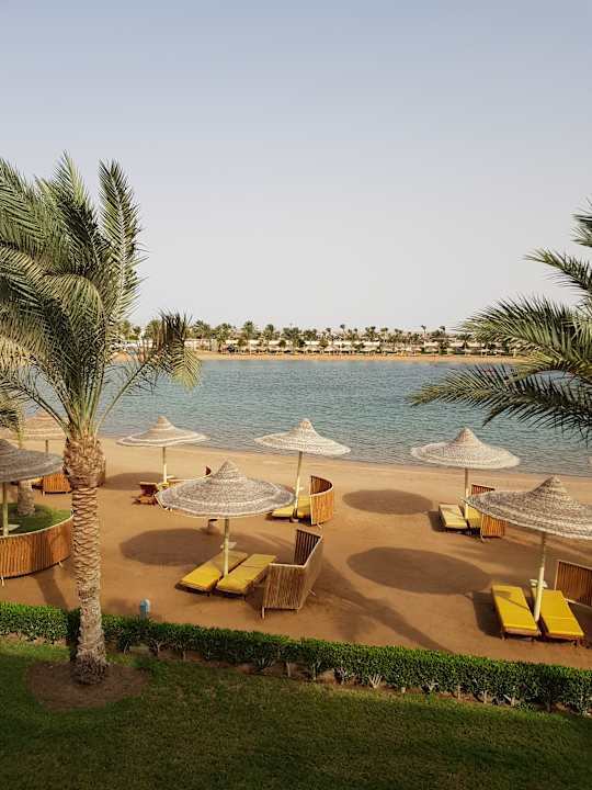 Ausblick Desert Rose