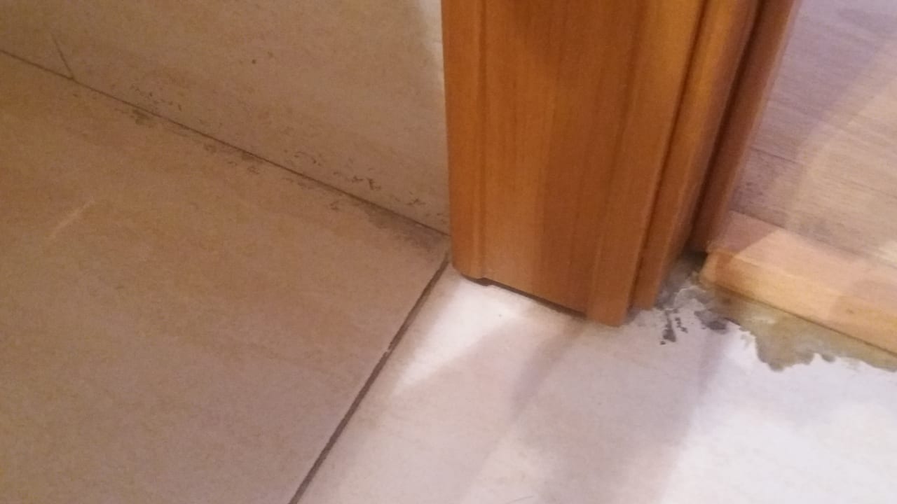 Zimmer Palma Bellver by Meliá