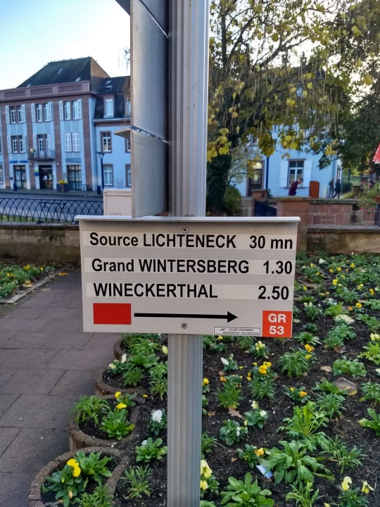 Sonstiges Hotel Majestic Alsace