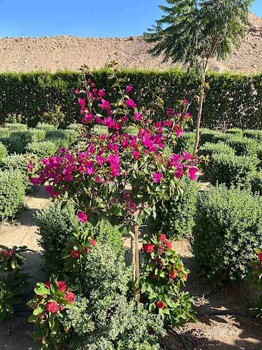 Außenansicht Pickalbatros Villaggio Resort - Portofino