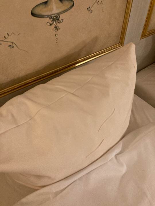 Zimmer Sure Hotel by Best Western Rhoen Garden