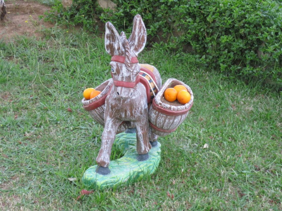 Dekorativer Esel  Hotel Albatros
