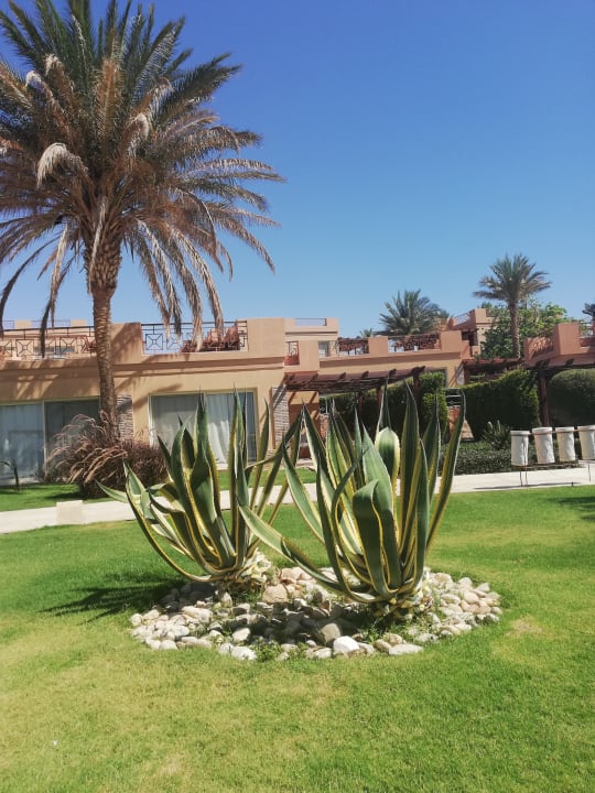 Gartenanlage Shams Prestige Abu Soma-Adults Only