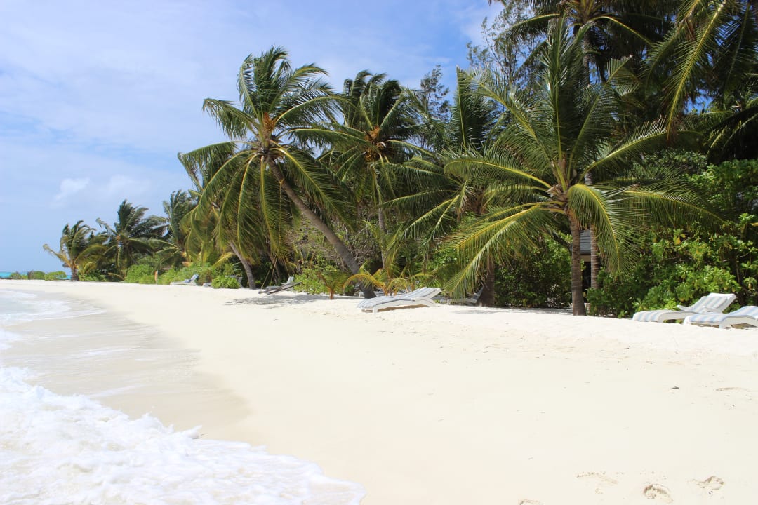Strand Summer Island Maldives
