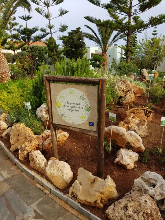 Gartenanlage Iberostar Selection Creta Marine