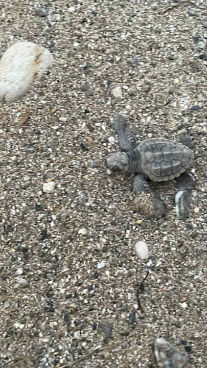 Strand Hotel Kathrin Beach