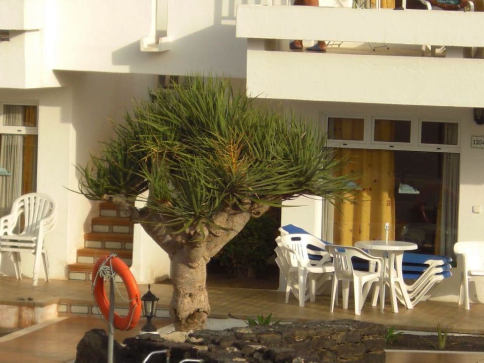 Liegenreservierung mal anders.. Hotel Floresta