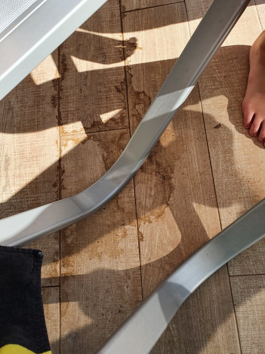 Sonstiges Alcudia Garden Aparthotel