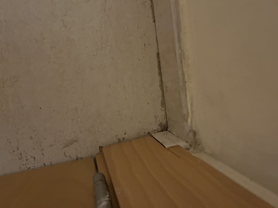 Zimmer MLL Palma Bay Club Resort