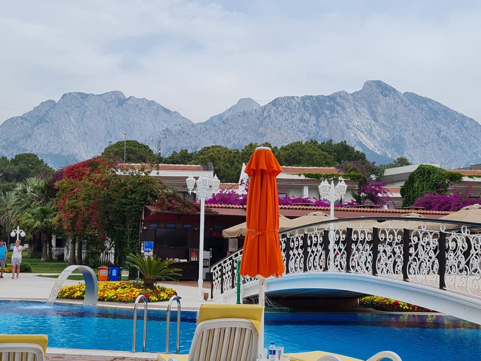 Pool Club Boran Mare Beach