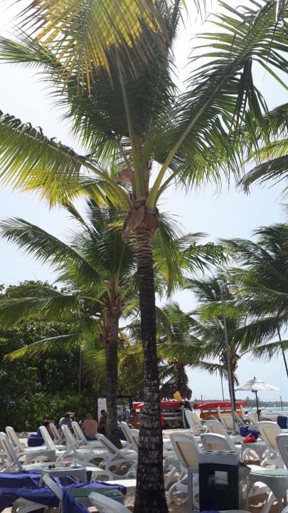 Sonstiges Viva Heavens by Wyndham - All Inclusive Resort