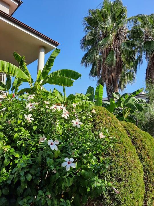 Gartenanlage Sunis Elita Beach Resort & Spa