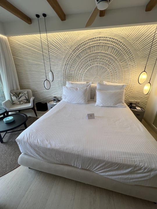 Zimmer Mitsis Selection Rinela