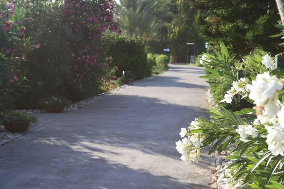 Gepflegte Gartenanlage  AQI Pegasos Royal