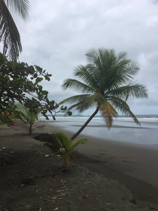Strand Cocomar Residences & Beachfront Hotel